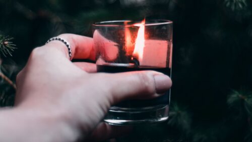 Candle, Hand, Branches HD Wallpapers Download (1)