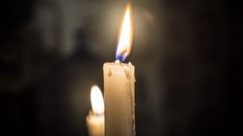 Candle, Hand, Branches HD Wallpapers Download (4)