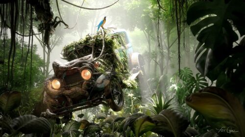 Car, Jungle, Parrot HD Wallpapers Download
