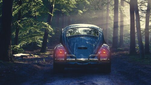 Car, Retro, Forest Wallpapers Free Download