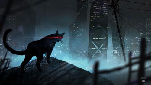Cat, Black, Cat Eyes Wallpapers Free Download