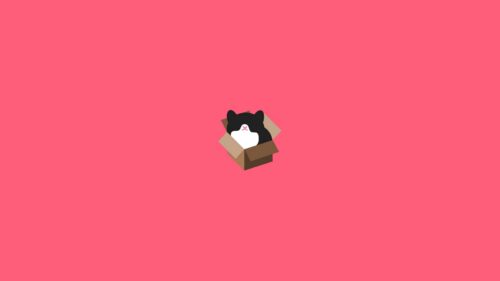Cat Box, Design, Minimalism Wallpapers Free Download