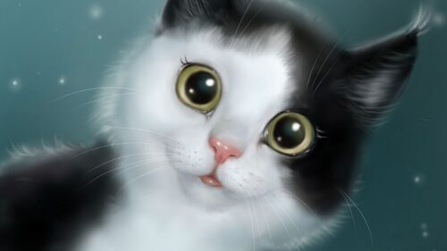 Cat, Cute, Pet Wallpapers Free Download (2)