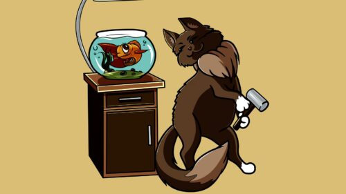 Cat, Fish, Aquarium Wallpapers Free Download