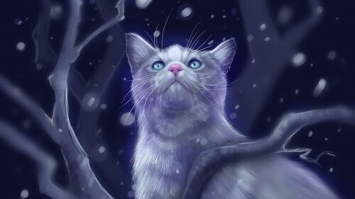 Cat, Glance, Art Wallpapers Free Download (2)
