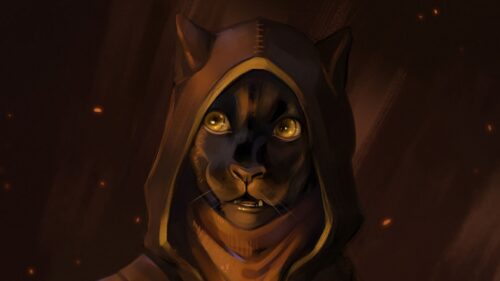 Cat, Hood, Glance Wallpapers Free Download