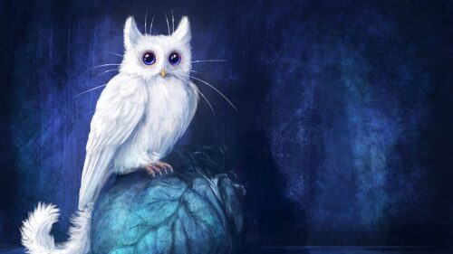 Cat, Owl, Art Wallpapers Free Download