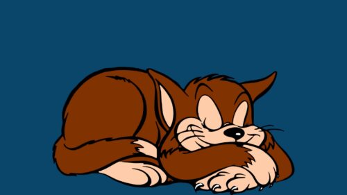 Cat, Sleeps, Art Wallpapers Free Download