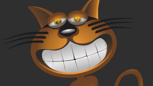 Cat, Smile, Funny Wallpapers Free Download