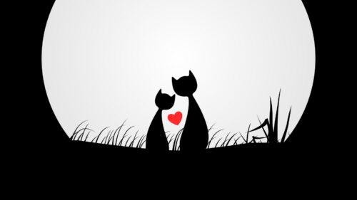 Cats, Love, Silhouettes Wallpapers Free Download