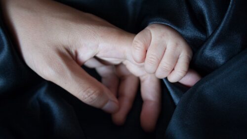 Child, Hand, Parent Wallpapers Free Download
