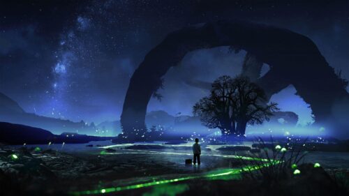 Child, Night, Tree Wallpapers Free Download