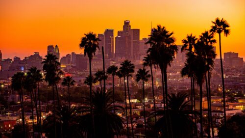 City, Palm, Trees, Sunset HD Wallpapers Download