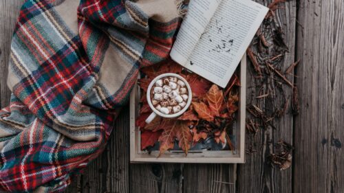 Cocoa, Marshmallow, Autumn, Plaid, Book HD Wallpapers Download