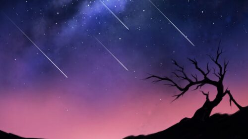Comets, Space, Tree HD Wallpapers Download