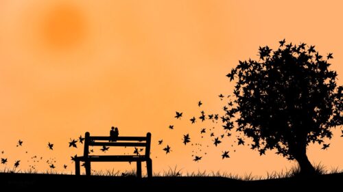 Couple, Bench, Leaves HD Wallpapers Download
