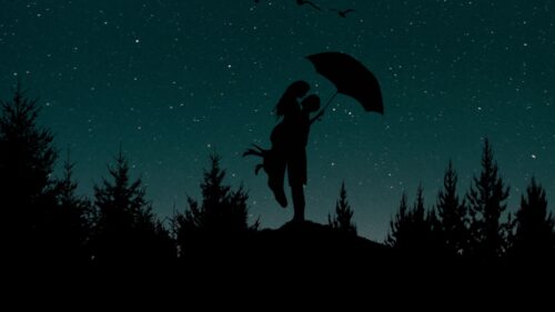 Couple, Silhouettes, Starry, Sky HD Wallpapers Download
