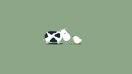 Cow, Chicken, Eggs, Breeding, Mixing HD Wallpapers Download