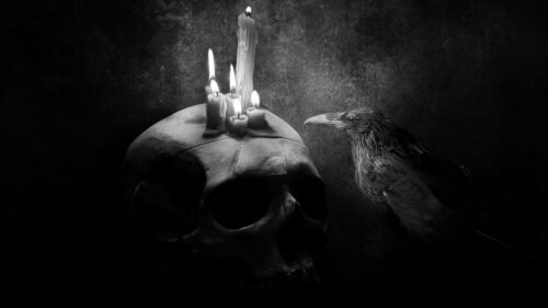 Crow, Bird, Drawing, Skull, Candle HD Wallpapers Download