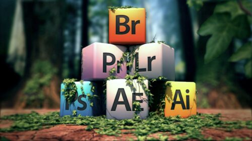 Cube, Dice, Letter, Grass HD Wallpapers Download
