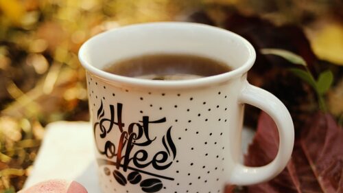 Cup, Coffee, Cookies Free Wallpapers Download (2)