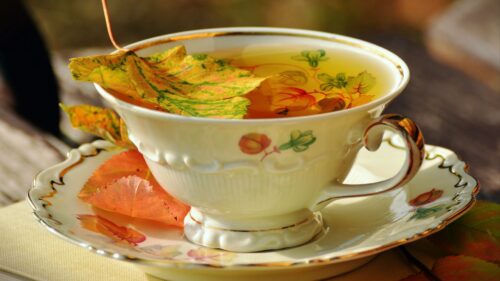 Cup, Tea, Drink, Fall Free Wallpapers Download