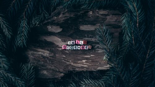 December, Letters, Branches Free Wallpapers Download
