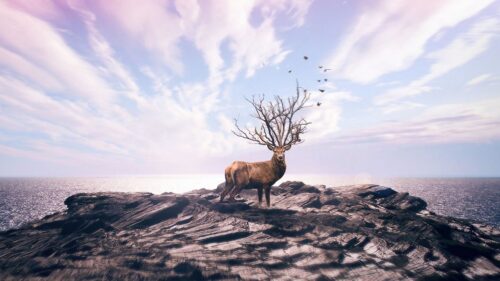 Deer, Art, Photoshop Free Wallpapers Download