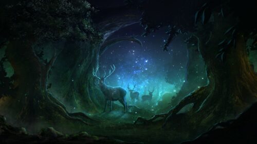 Deer, Forest, Night Free Wallpapers Download (2)