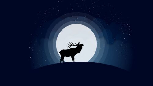 Deer, Moon, Vector Free Wallpapers Download