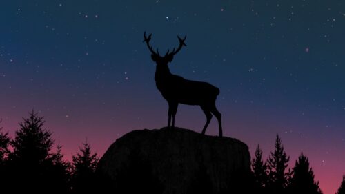 Deer, Silhouette, Twilight, Moon Free Wallpapers Download