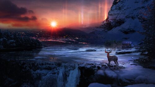 Deer, Winter, Night HD Wallpapers Free Download