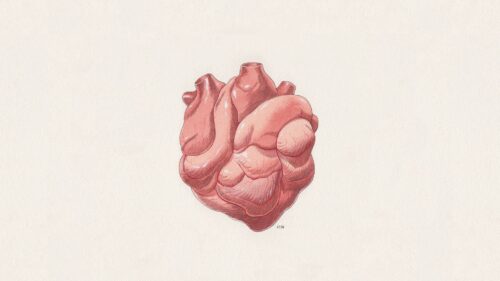 Digital Art, Heart, Art HD Wallpapers Free Download