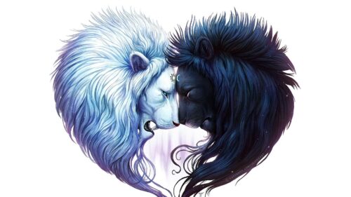 Digital Art, White Lion, Black, Lion HD Wallpapers Free Download
