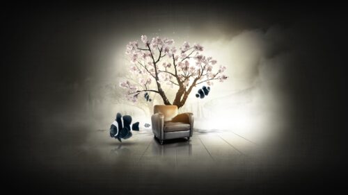 Dilshan, Arukatti, Immersive, Garden, Tree HD Wallpapers Free Download