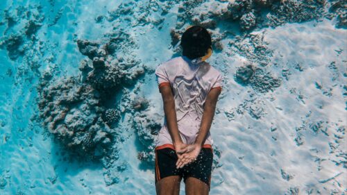 Diving Diver, Water HD Wallpapers Free Download
