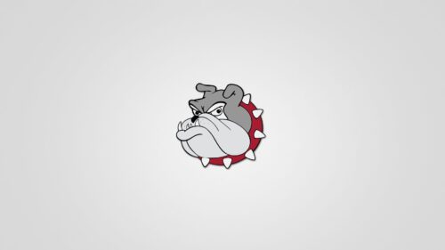 Dog, Collar, Minimalism, Bulldog HD Wallpapers Free Download
