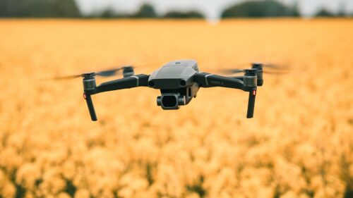 Drone, Field, Flowers HD Wallpapers Free Download
