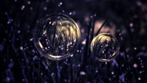Drops, Bubbles, Grass HD Wallpapers Free Download