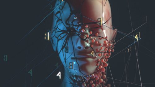 Dummy, Head, Mesh Wallpapers Free Download
