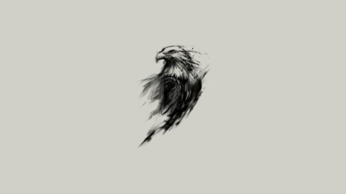 Eagle, Art, Black, Paint Wallpapers Free Download