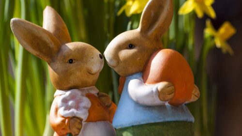 Easter, Bunny, Rabbits, Flowers Wallpapers Free Download