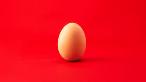 Egg, Chicken, Egg, Red Wallpapers Free Download