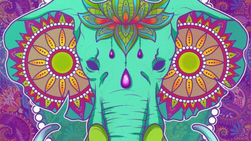 Elephant, Patterns, Colorful Wallpapers Free Download