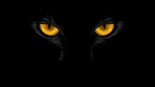 Eyes, Black, Dark Wallpapers Free Download