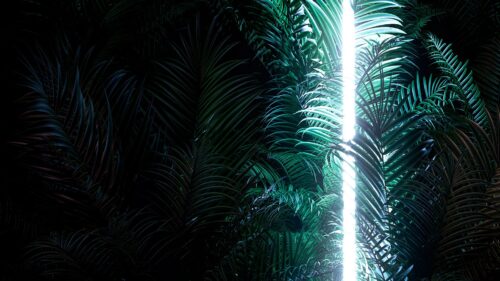 Fern, Neon, Lights Desktop Wallpapers Free Download
