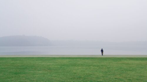 Field Alone, Solitude Desktop Wallpapers Free Download