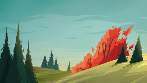 Field, Spruce, Trees Desktop Wallpapers Free Download