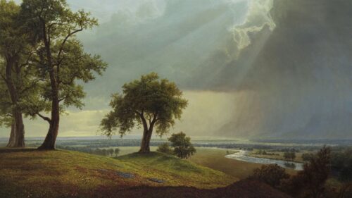 Field, Tree, Art Desktop Wallpapers Free Download