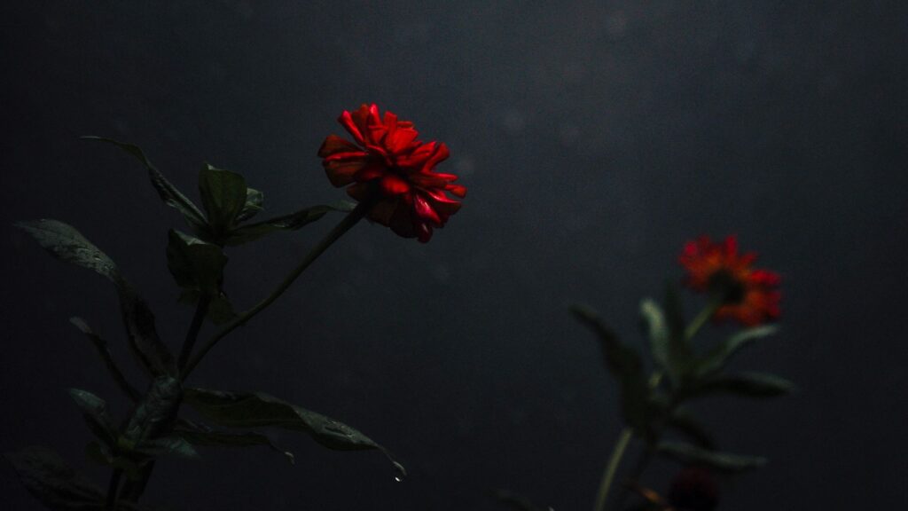 Next